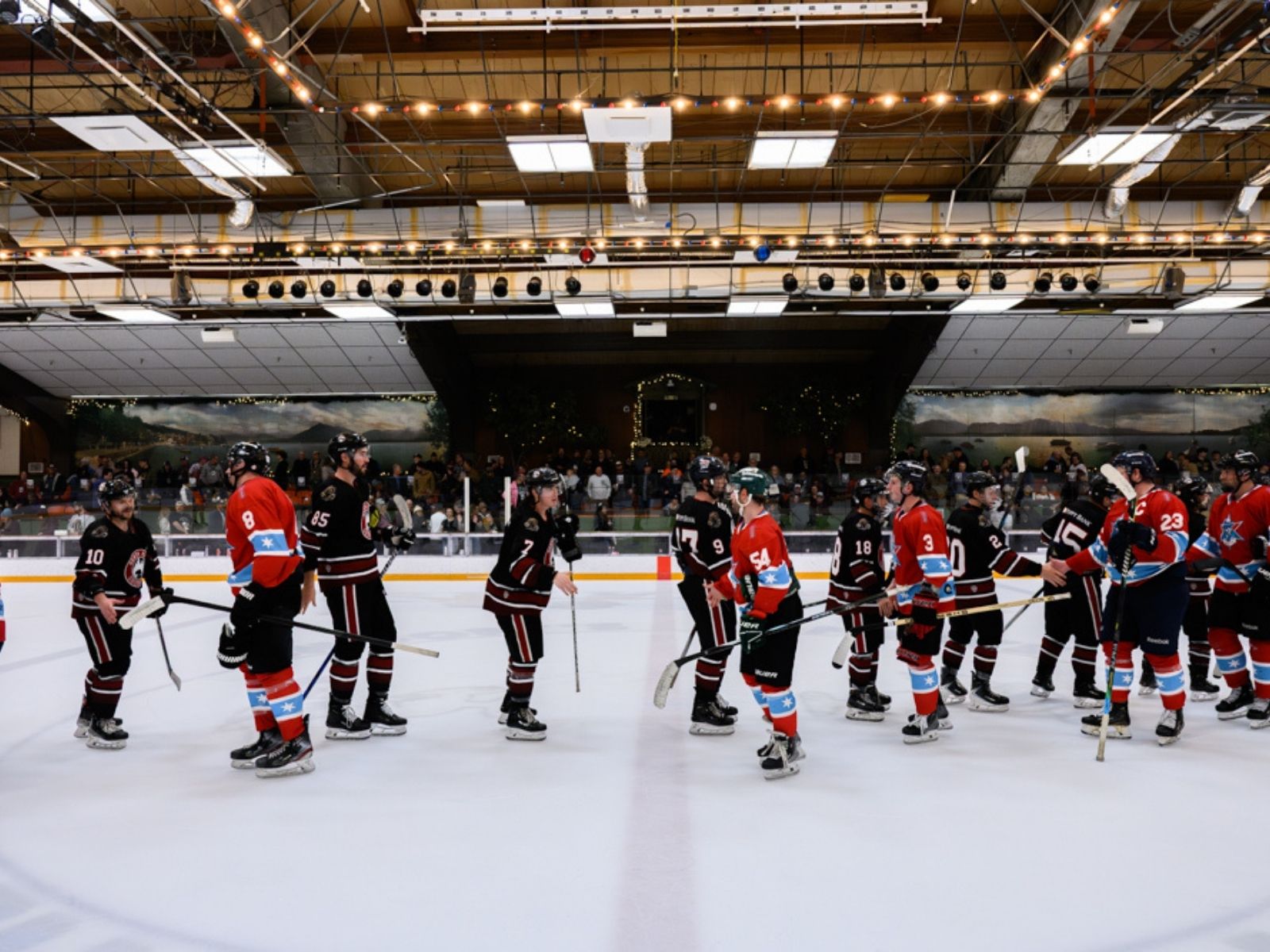 Chicago Misfits join the Colonial Hockey League